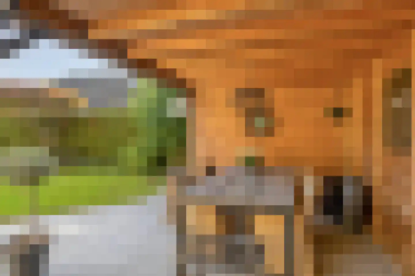 Gossinksweide 6 Goor thumbnail 39