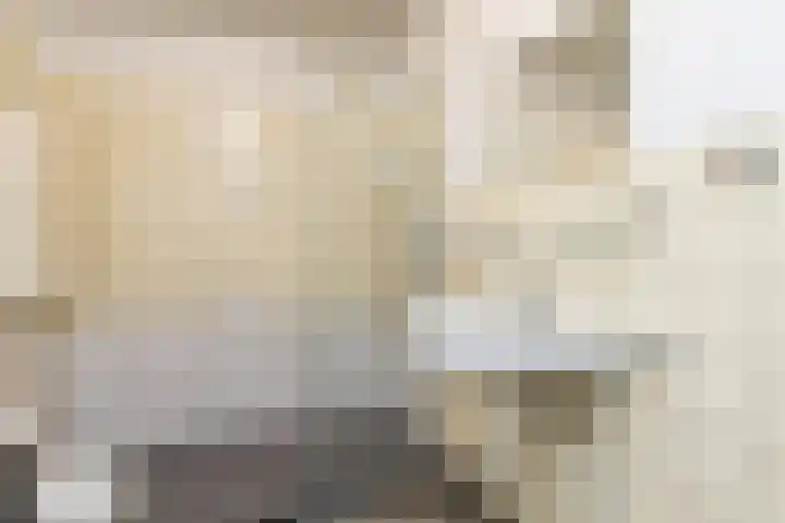 Goswijnstraat 6 Munstergeleen thumbnail 33
