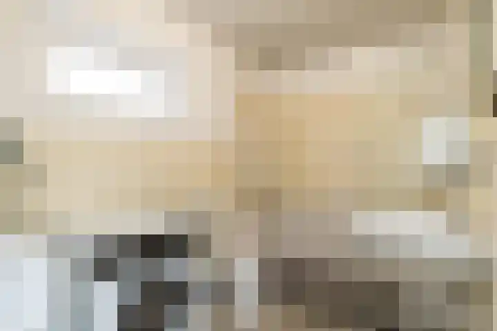 Goswijnstraat 6 Munstergeleen thumbnail 34
