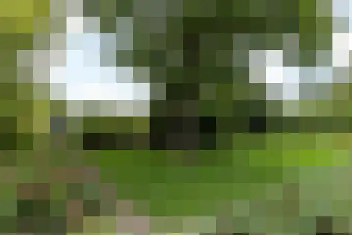 Goswijnstraat 6 Munstergeleen thumbnail 5