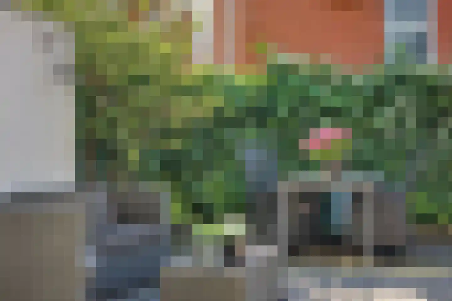 Göteborg 11 Schiedam thumbnail 37