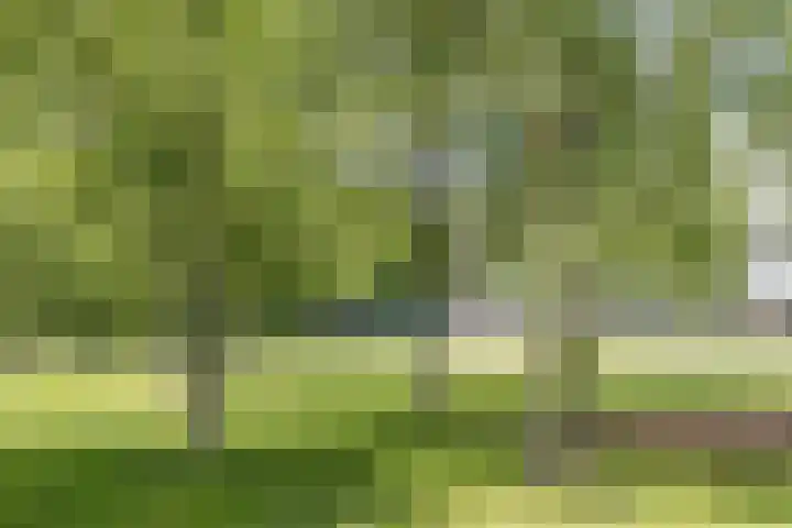 Gotenpark 19 Tilburg thumbnail 20