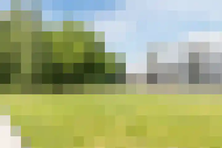 Gotenpark 19 Tilburg thumbnail 23