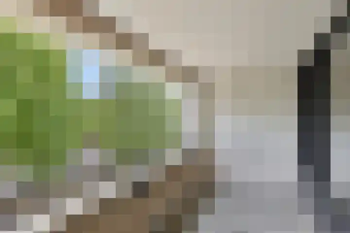 Gotenpark 31 Tilburg thumbnail 13