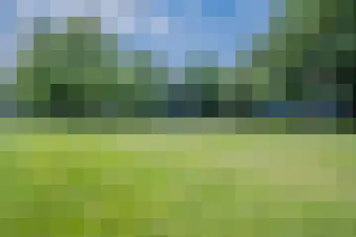Gotenpark 31 Tilburg thumbnail 26