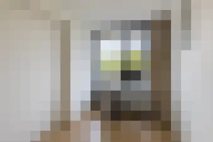 Gotenpark 39 Tilburg thumbnail 25