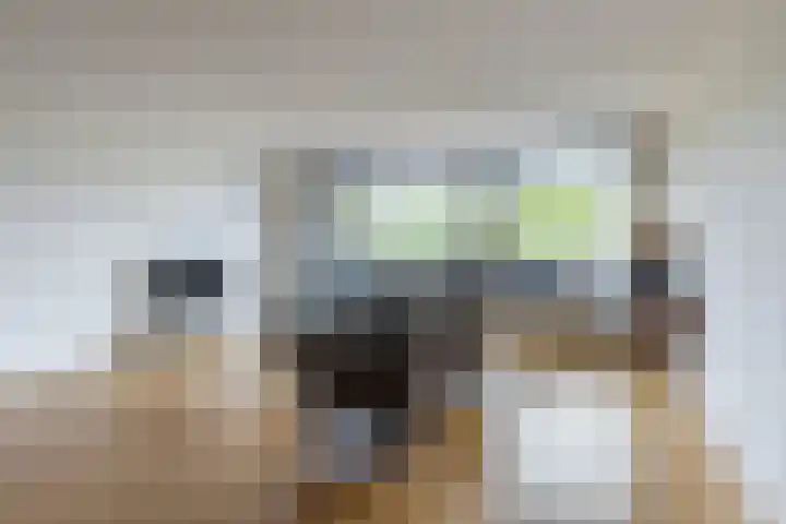 Gotenpark 39 Tilburg thumbnail 6