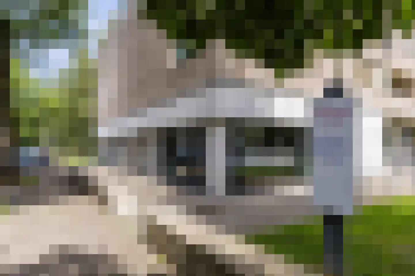 Gotenpark 7 Tilburg thumbnail 27