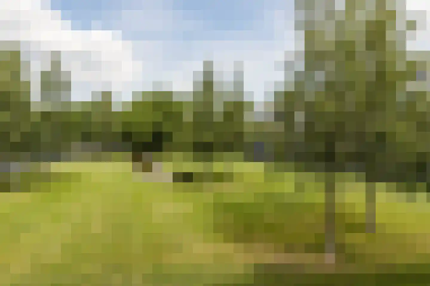 Gotenpark 7 Tilburg thumbnail 28