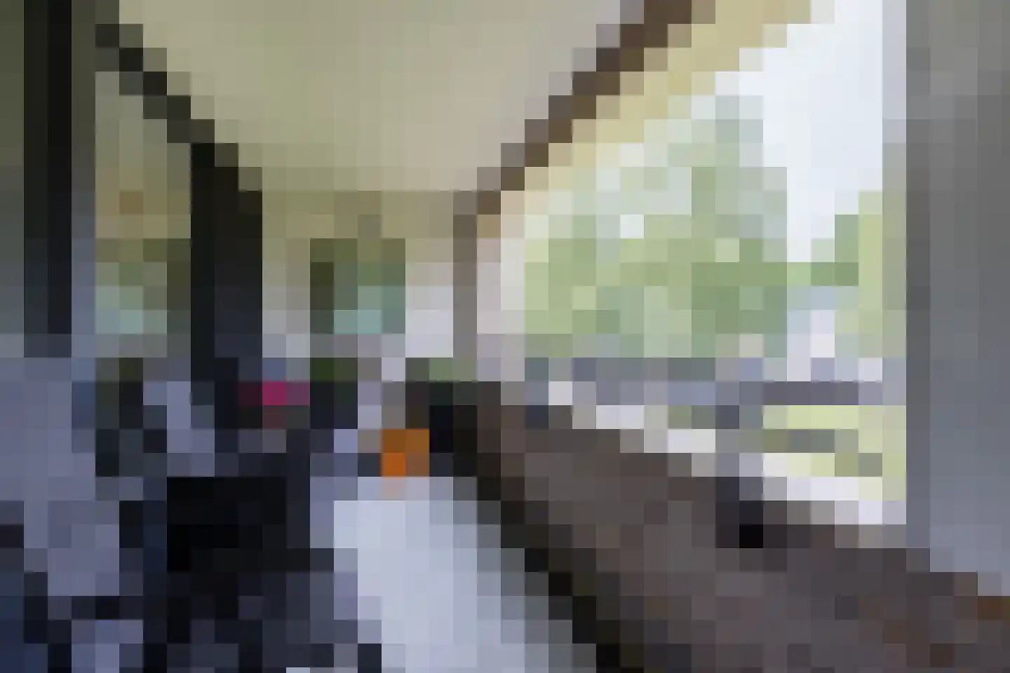 Gotenpark 7 Tilburg thumbnail 7
