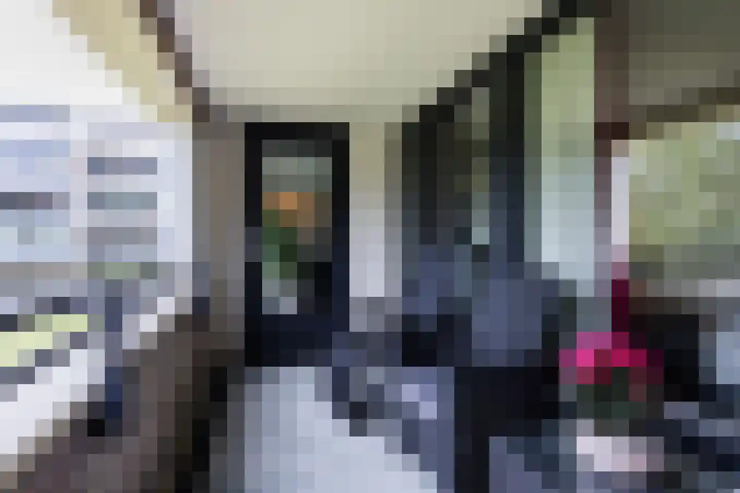 Gotenpark 7 Tilburg thumbnail 8