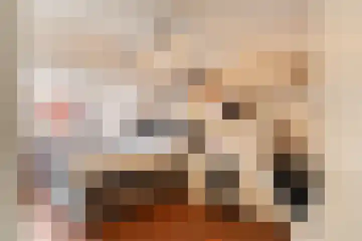 Gothenburghof 12 Rotterdam thumbnail 14