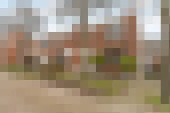 Gothenburghof 12 Rotterdam thumbnail 26