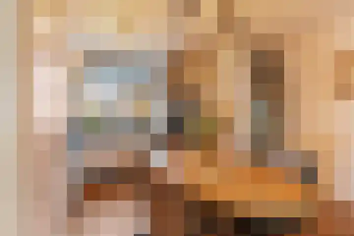 Gothenburghof 12 Rotterdam thumbnail 7