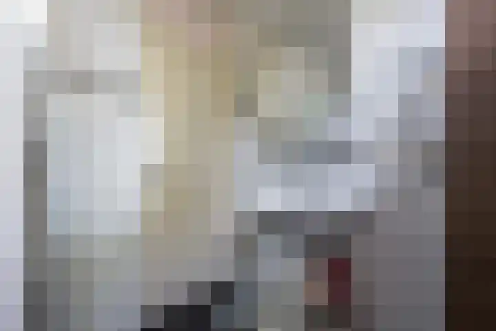 Gothenhof 11 Weert thumbnail 31