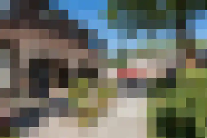 Gothenhof 11 Weert thumbnail 53