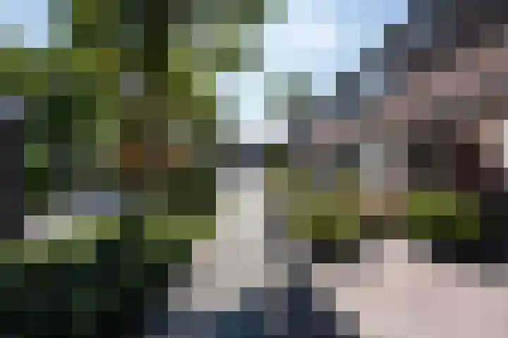 Gothenhof 11 Weert thumbnail 54