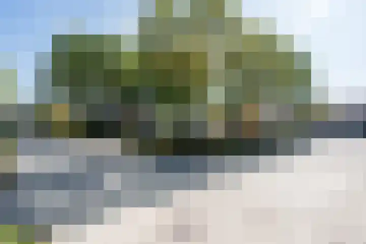 Gothenhof 11 Weert thumbnail 55