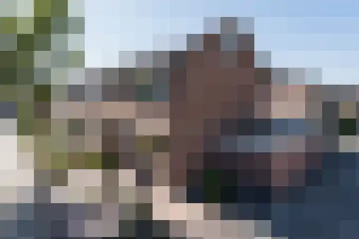 Gothenhof 11 Weert thumbnail 57
