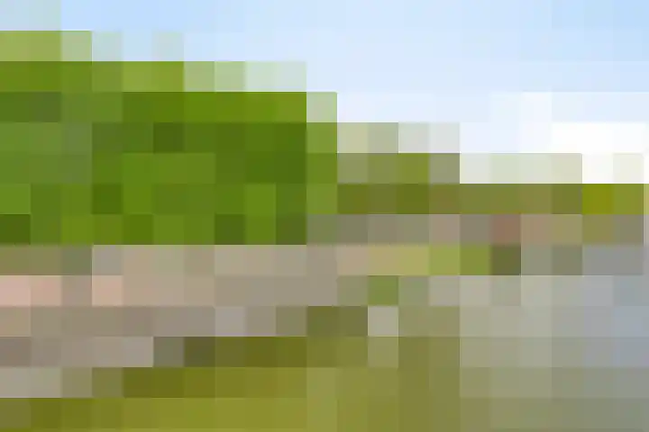 Gotland 33 Den Haag thumbnail 31