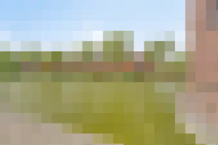 Gotland 33 Den Haag thumbnail 33