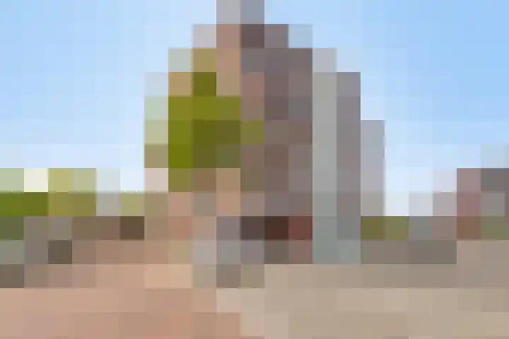 Gotland 33 Den Haag thumbnail 34