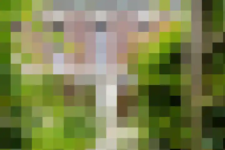 Gotland 7 Den Haag thumbnail 15
