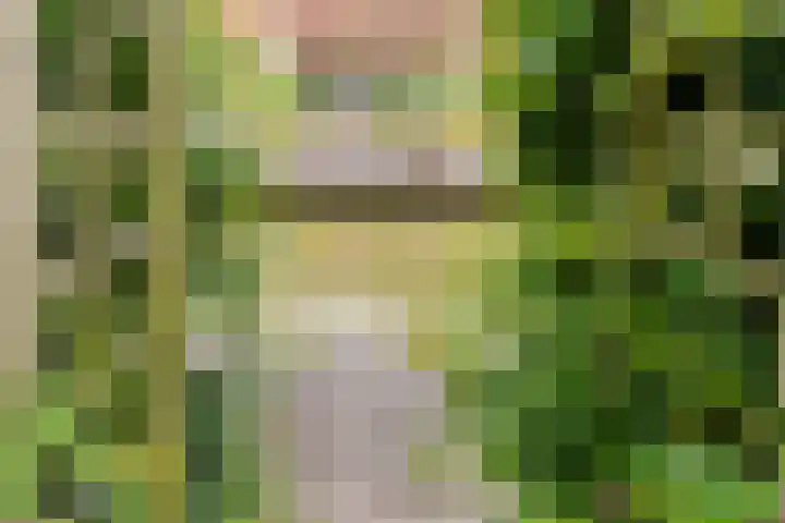 Gotland 7 Den Haag thumbnail 16