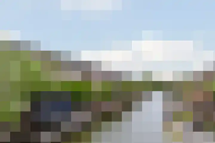 Gotland 7 Den Haag thumbnail 34