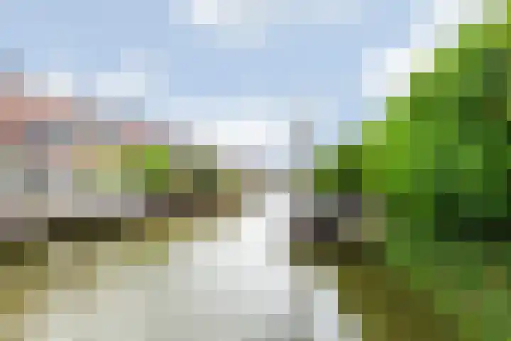 Gotland 7 Den Haag thumbnail 4