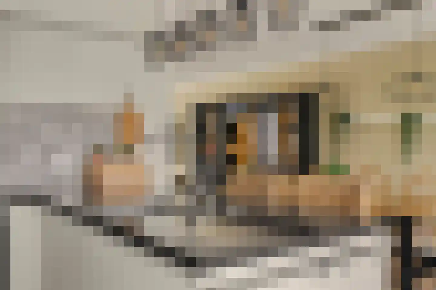 Gotthardpas 52 Eindhoven thumbnail 4