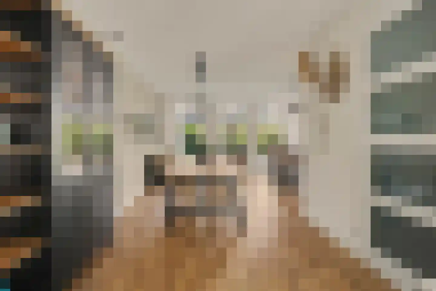 Gotthardpas 52 Eindhoven thumbnail 8