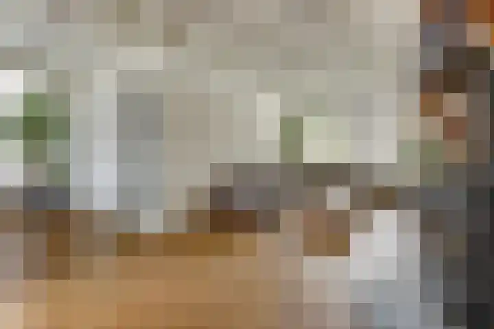 Gouberg 19 Gilze thumbnail 13