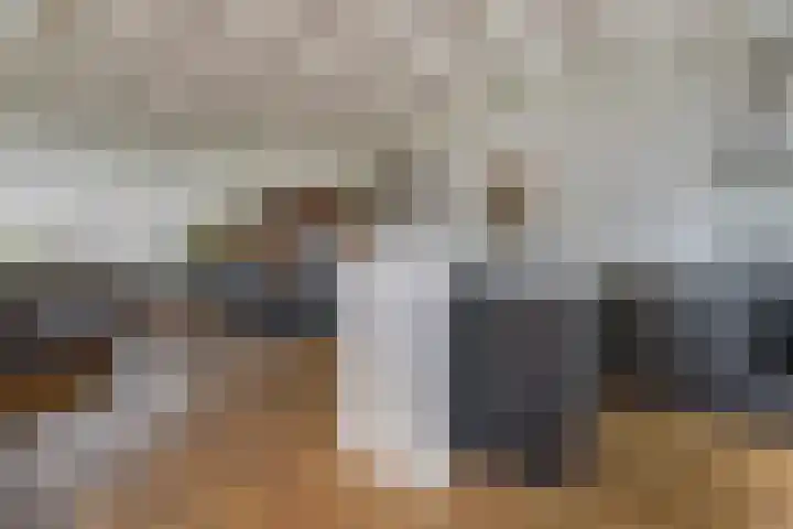 Gouberg 19 Gilze thumbnail 15