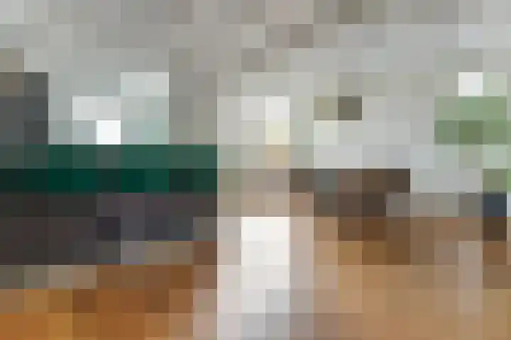 Gouberg 19 Gilze thumbnail 17