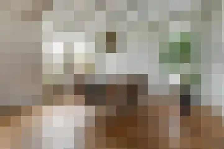 Gouberg 19 Gilze thumbnail 18