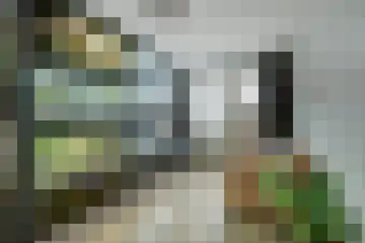 Gouberg 19 Gilze thumbnail 27