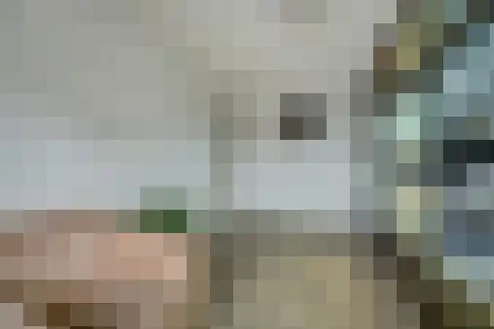 Gouberg 19 Gilze thumbnail 28