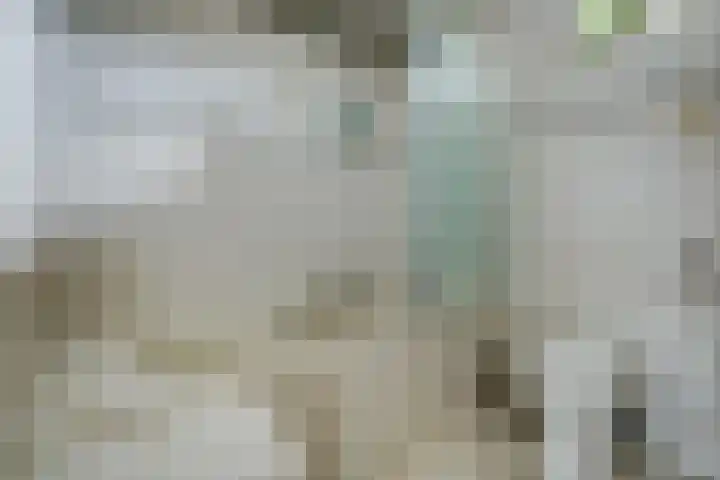 Gouberg 19 Gilze thumbnail 35