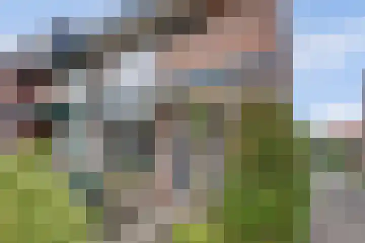 Gouberg 19 Gilze thumbnail 51