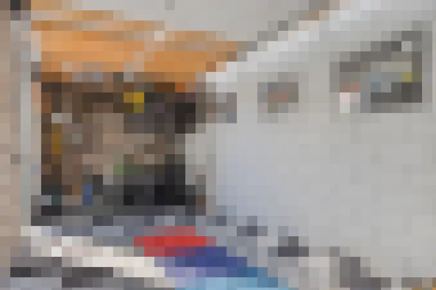 Goudappel 31 Den Hoorn thumbnail 30