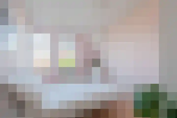 Goudappel 40 Den Hoorn thumbnail 20