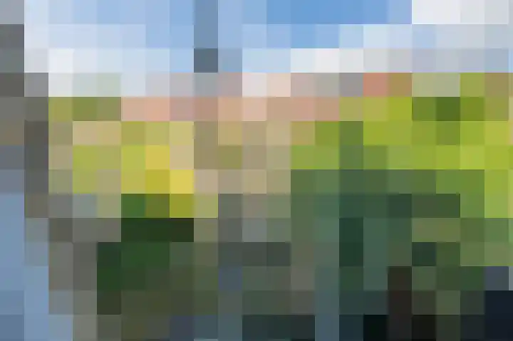 Goudappel 40 Den Hoorn thumbnail 31