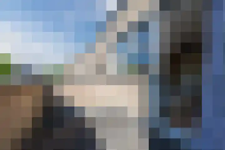 Goudappel 40 Den Hoorn thumbnail 32