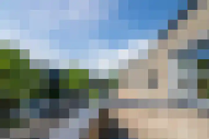 Goudappel 40 Den Hoorn thumbnail 33