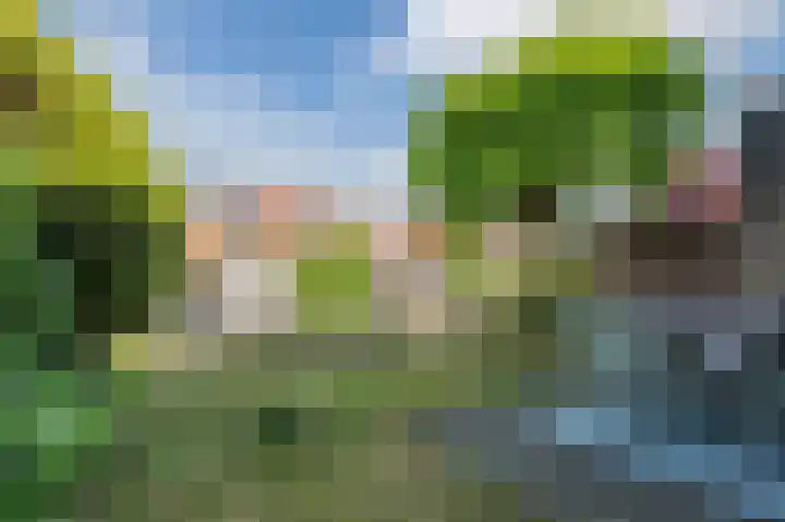 Goudappel 40 Den Hoorn thumbnail 34