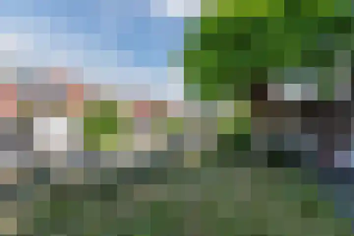 Goudappel 40 Den Hoorn thumbnail 35