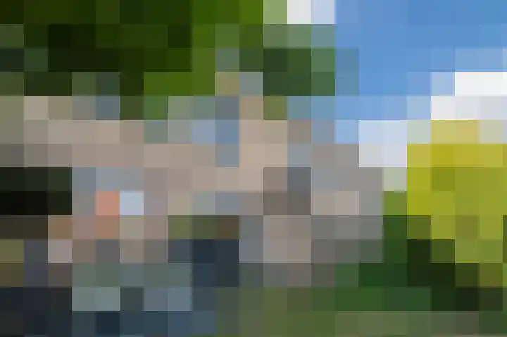 Goudappel 40 Den Hoorn thumbnail 37