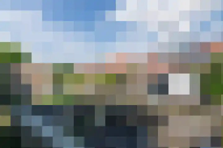 Goudappel 40 Den Hoorn thumbnail 38