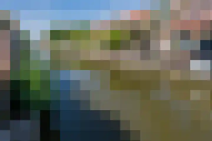 Goudappel 40 Den Hoorn thumbnail 39